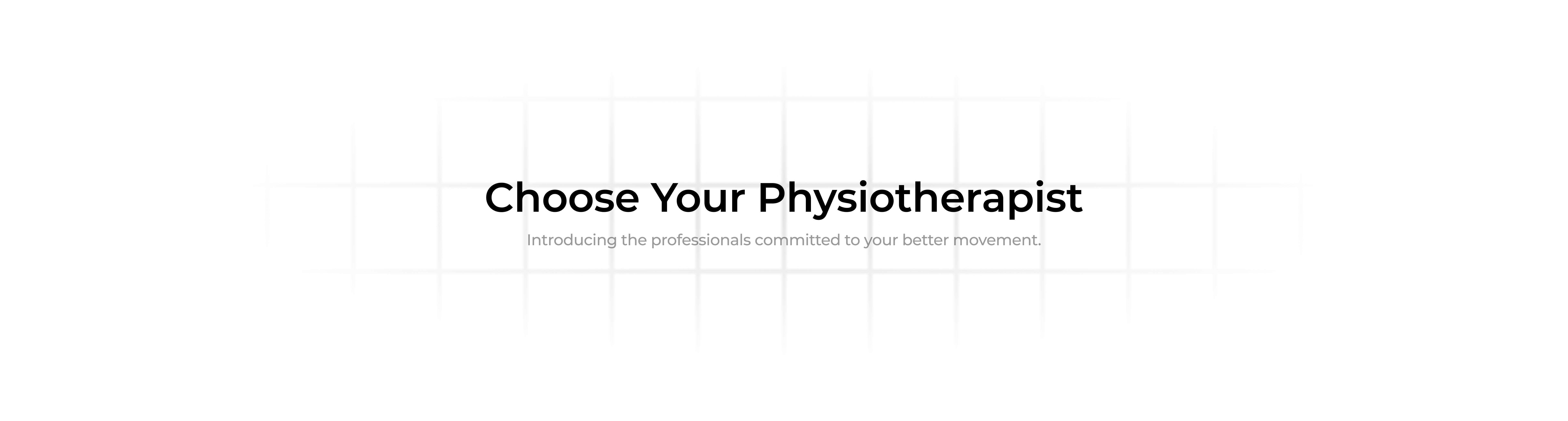 Physiotherapist Banner